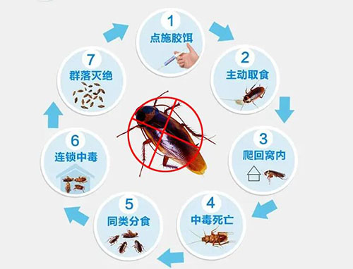 分享臭蟲(chóng)防治的方法