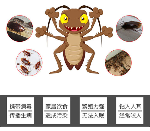 為您提供一些生活中常見(jiàn)的昆蟲(chóng)控制技巧